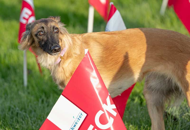 ZZP in Lotzwil vom 18. Oktober 2025
