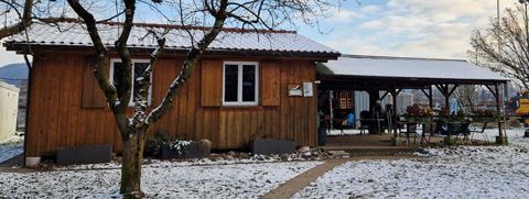 Club der Hundefreunde Aarburg und Umgebung